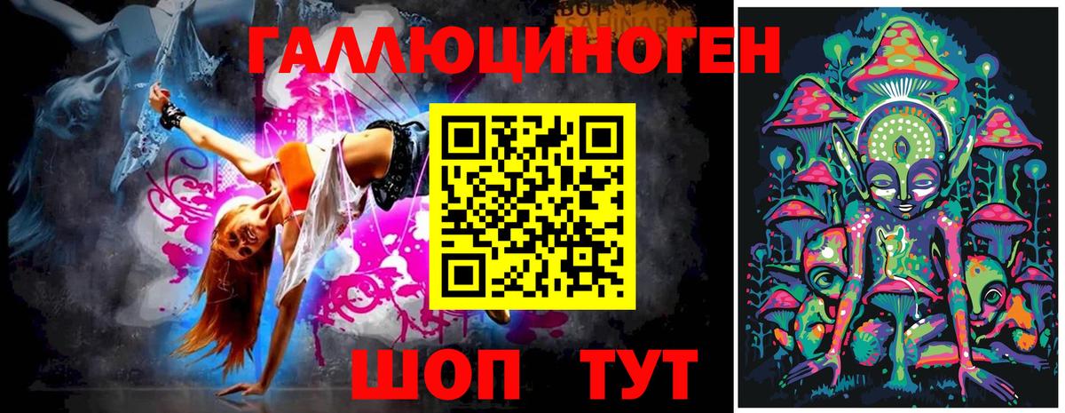 Галлюциногенные грибы Psilocybe Ухта